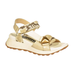 Sandały HISPANITAS CHV253896 Taupe